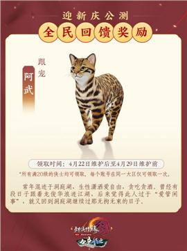 天龙八部私服的流量